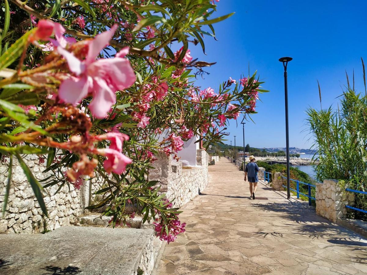 הוילה Marina Di Andrano - Alisso, Casa Vista Mare Con Parcheggio Privato E Wifi מראה חיצוני תמונה