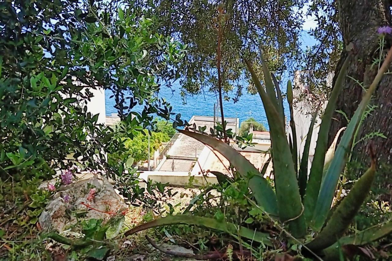 הוילה Marina Di Andrano - Alisso, Casa Vista Mare Con Parcheggio Privato E Wifi מראה חיצוני תמונה
